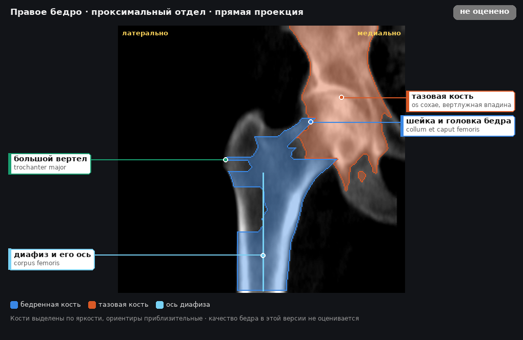 разметка снимка в стиле атласа