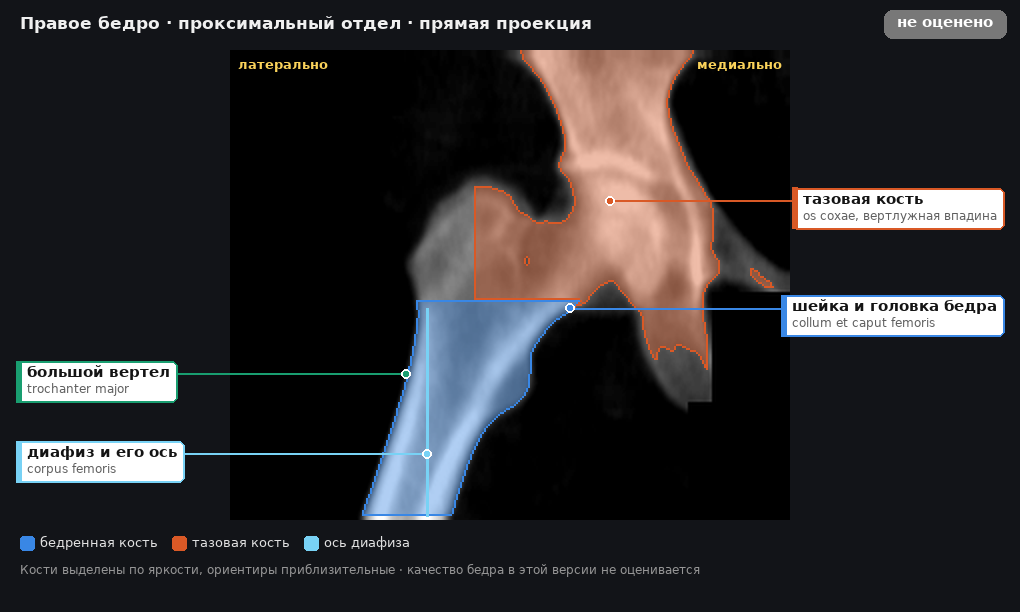 разметка снимка в стиле атласа