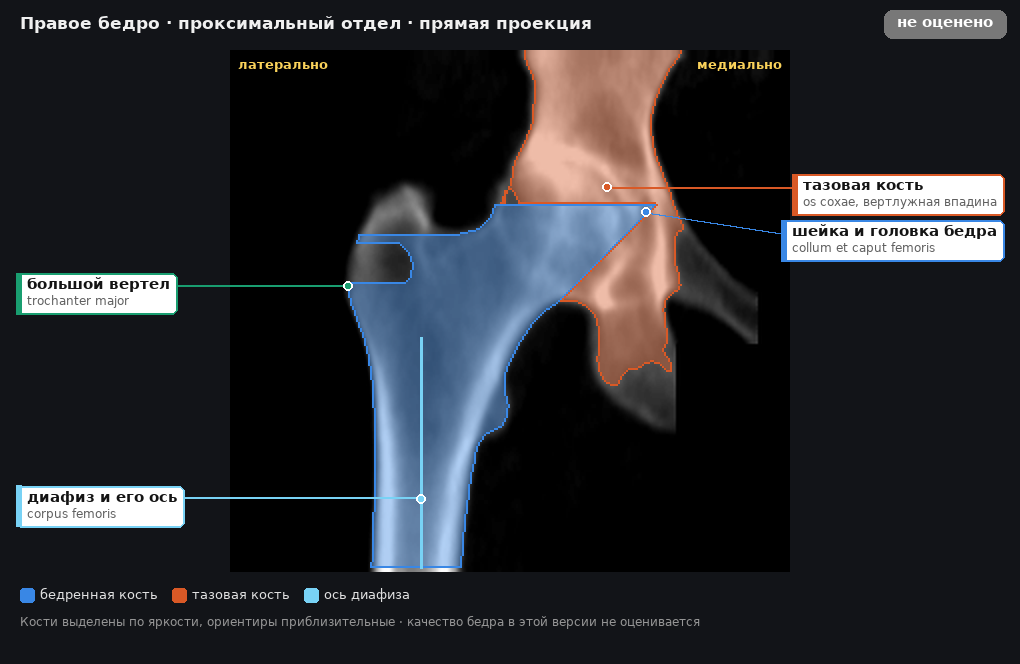 разметка снимка в стиле атласа