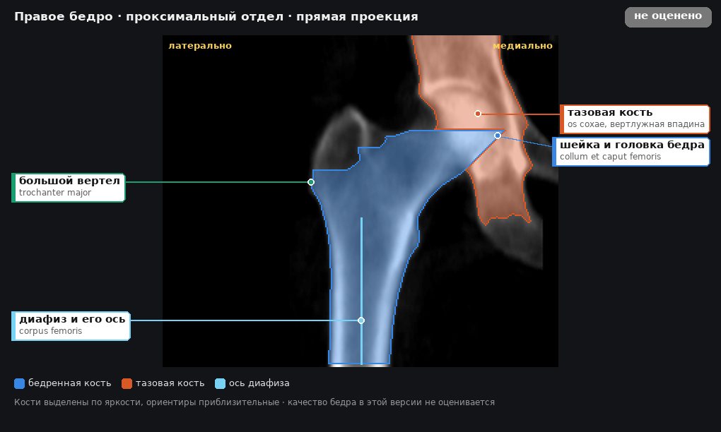 разметка снимка в стиле атласа