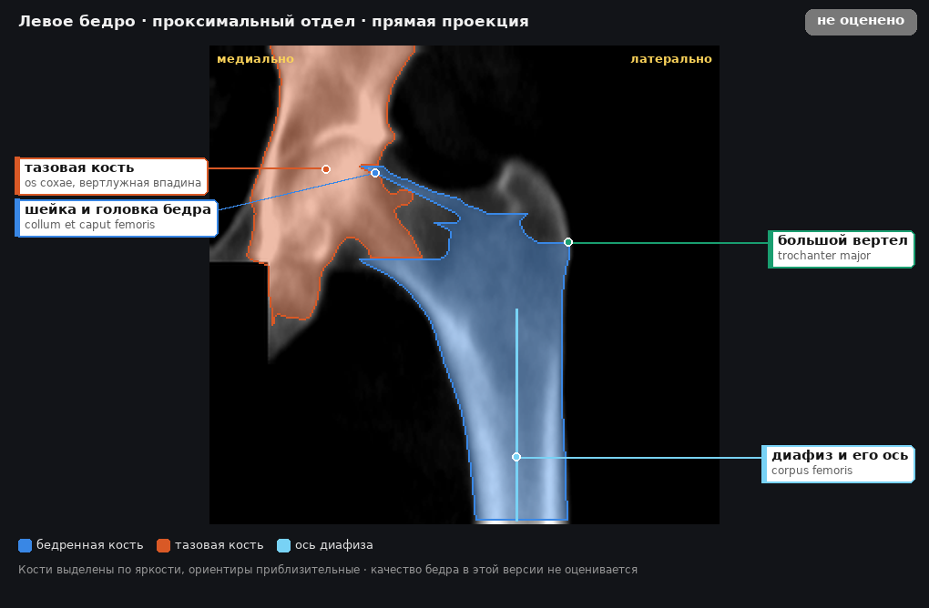 разметка снимка в стиле атласа