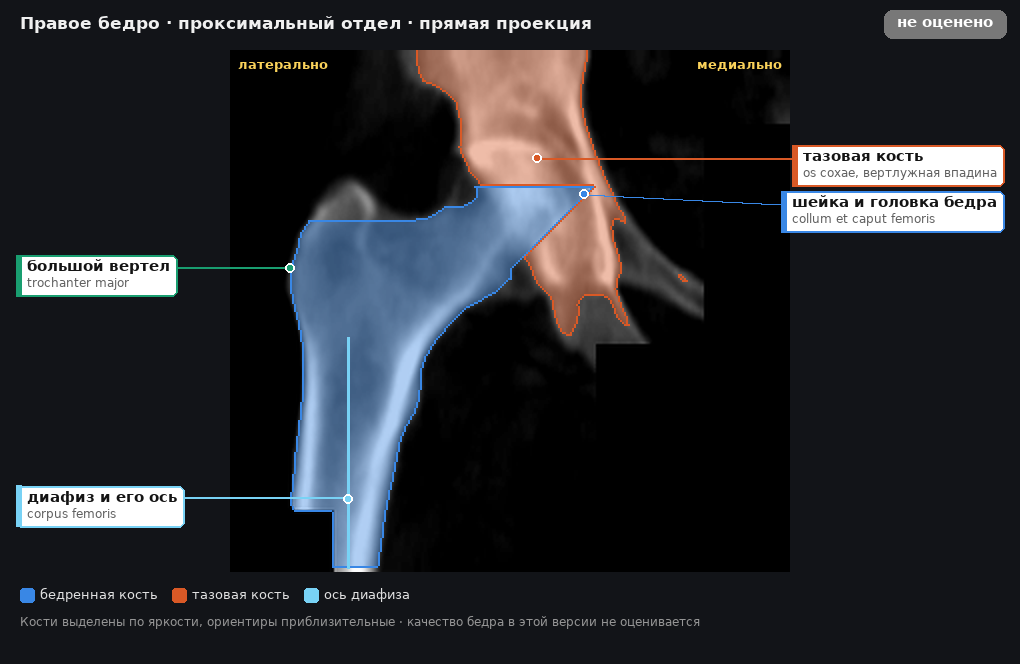 разметка снимка в стиле атласа