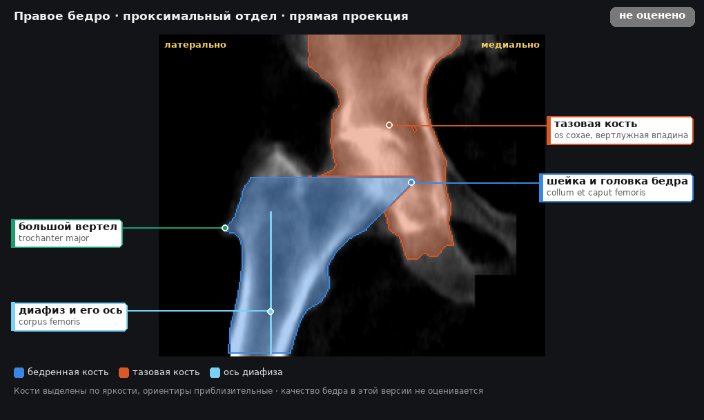 разметка снимка в стиле атласа