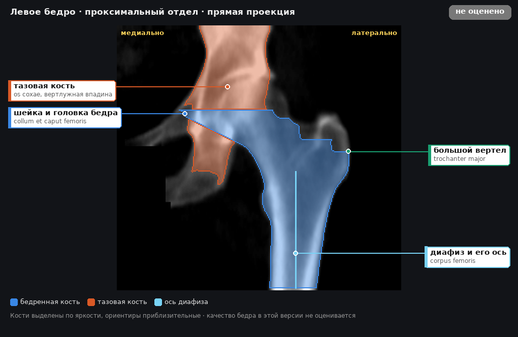 разметка снимка в стиле атласа