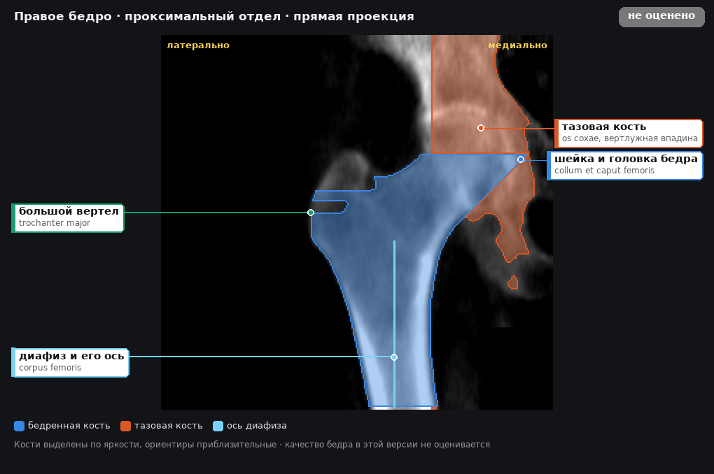 разметка снимка в стиле атласа