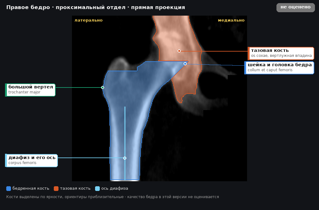разметка снимка в стиле атласа