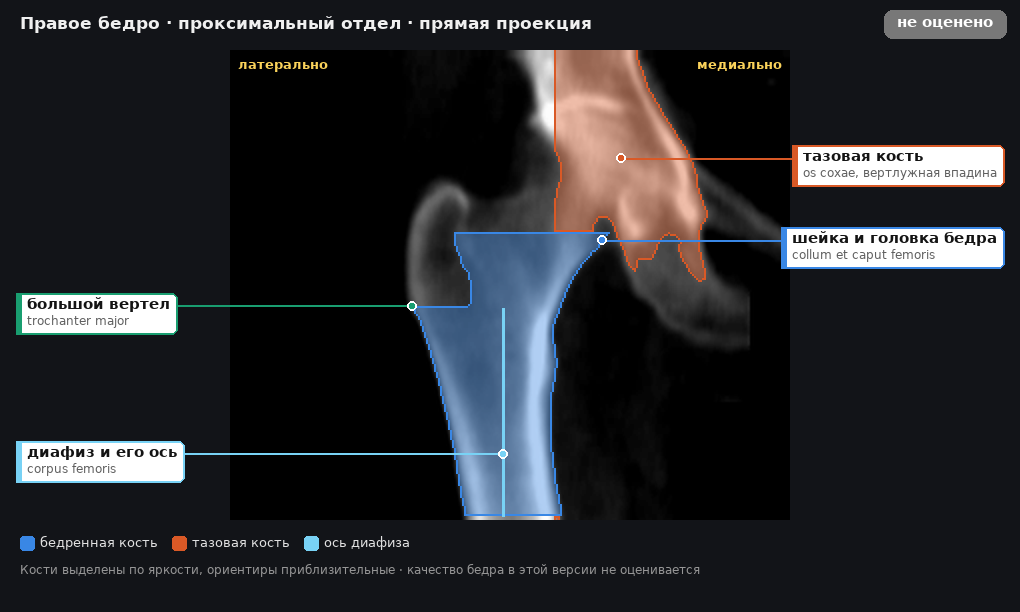 разметка снимка в стиле атласа