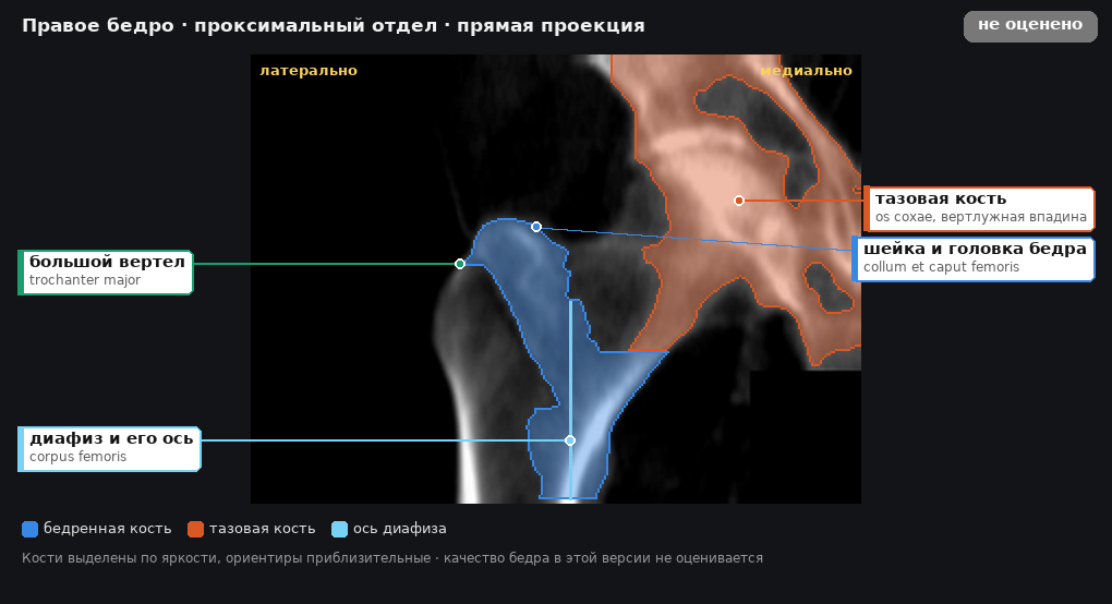 разметка снимка в стиле атласа