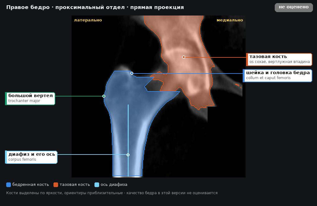 разметка снимка в стиле атласа