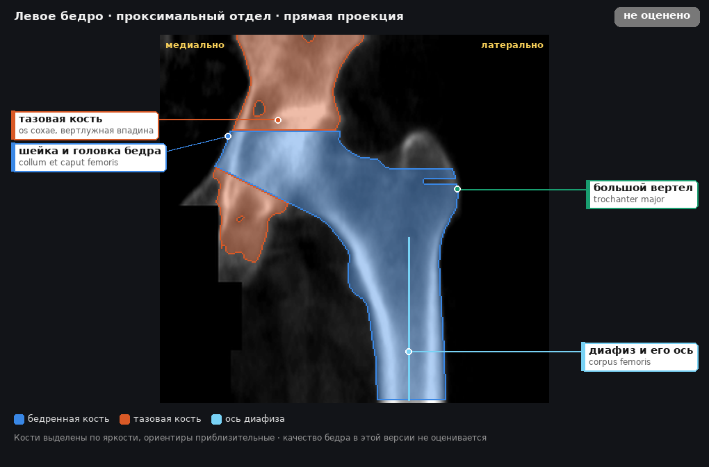 разметка снимка в стиле атласа