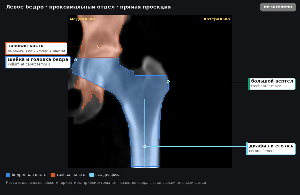разметка снимка в стиле атласа