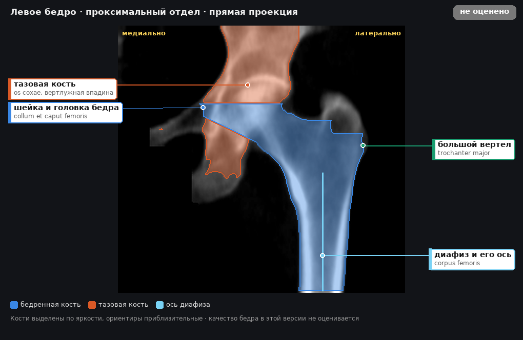 разметка снимка в стиле атласа
