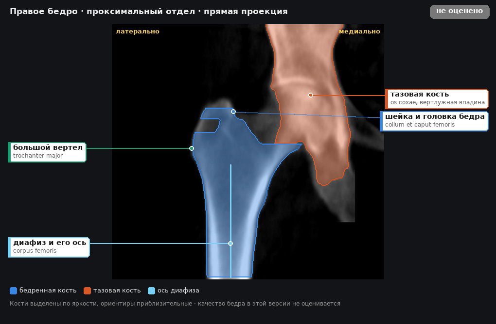 разметка снимка в стиле атласа