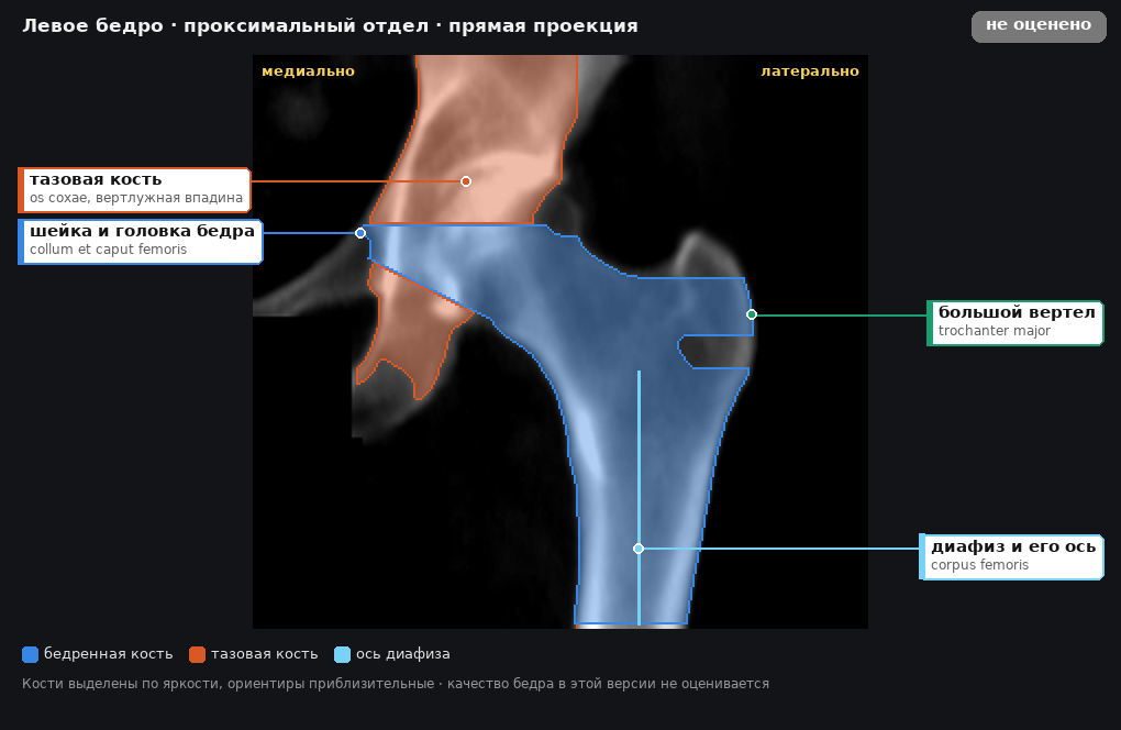 разметка снимка в стиле атласа