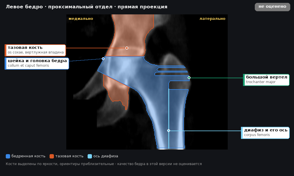 разметка снимка в стиле атласа