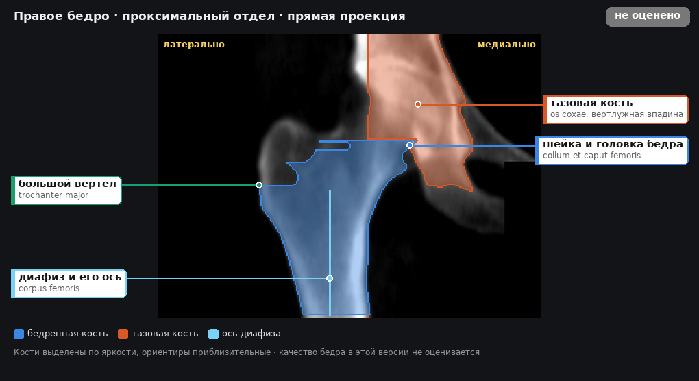 разметка снимка в стиле атласа