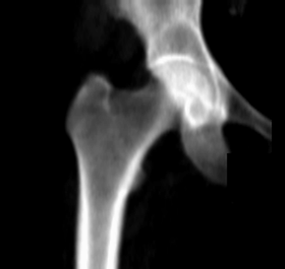 исходный снимок