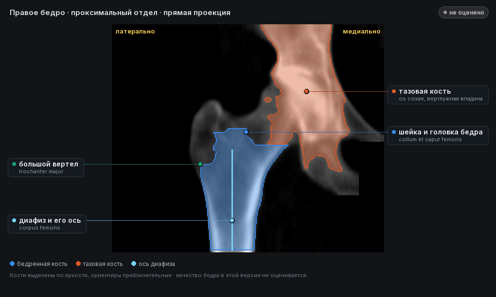 разметка снимка в стиле атласа