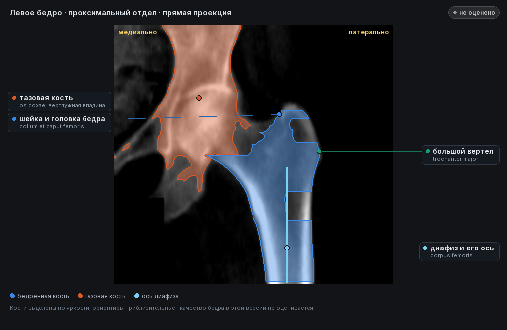 разметка снимка в стиле атласа