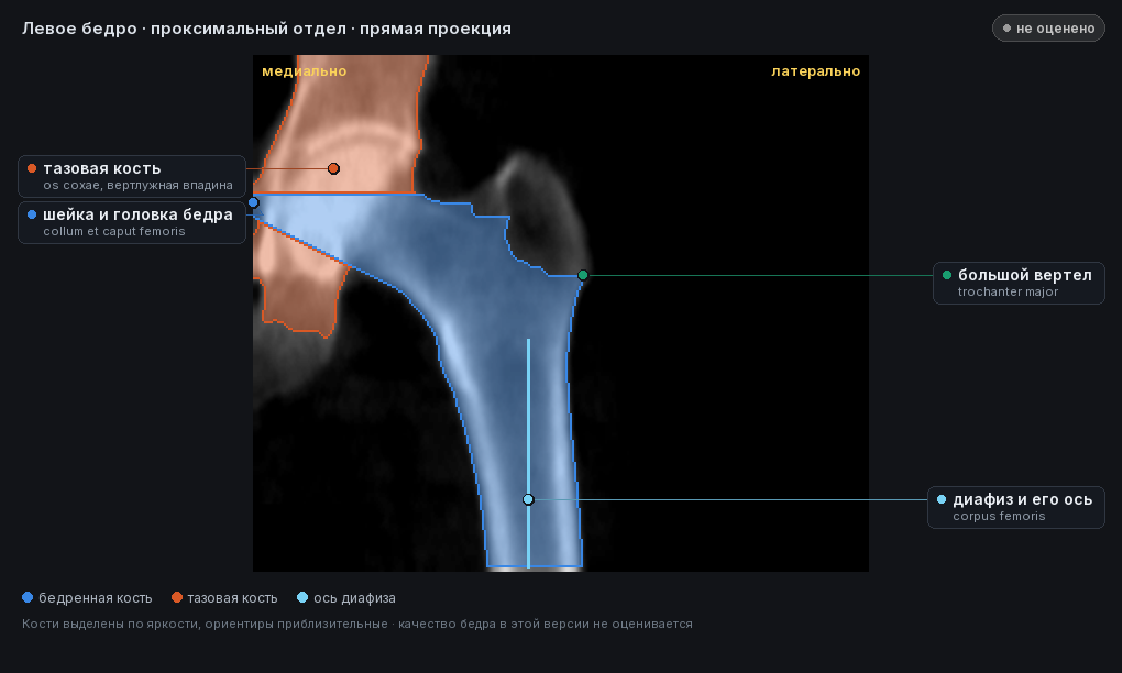 разметка снимка в стиле атласа